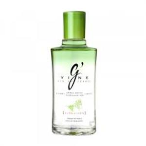 L-BOT GINEBRA G´VINE 0.70