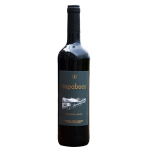 V-COPABOCA RIBERA TINTO CRZA.(6UND)